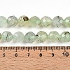 Natural Prehnite Beads Strands G-S345-10mm-28-5