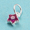 925 Sterling Silver Birthstone Charms STER-G035-01C-01-2