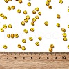 8/0 Opaque Colours Seep Glass Seed Beads X-SEED-F003-04B-01-4