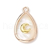 Natural Paua Shell Teardrop Pendants PALLOY-JF03762-01-1