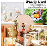 Transparent Glass Dome Jar Cloche Display Cases AJEW-WH0329-72A-6