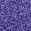 Baking Paint Silver Lined Glass Seed Beads SEED-H003-09G-2