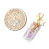 Natural Amethyst Chips inside Glass Wishing Bottle Pendant Decoration HJEW-JM03307-04-3