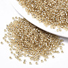 Glass Seed Beads X1-SEED-S042-04A-05-1