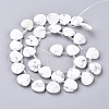 Synthetic Howlite Beads Strands G-G821-14A-2