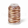3-Ply Segment Dyed Nylon Thread Cord NWIR-F011-01E-1