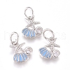 Brass Charms ZIRC-L070-79P-1