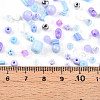 Glass Seed Beads SEED-N007-13C-4