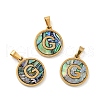 PVD Vacuum Plating 304 Stainless Steel with Paua Shell Pendants STAS-G268-02G-G-1