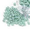 Glass Seed Beads SEED-A011-3mm-154-1-1