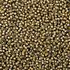 TOHO Round Seed Beads X-SEED-TR08-0390-2
