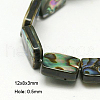 Natural Abalone Shell/Paua Shell Beads Strands SSHEL-G003-9-8x12x3mm-1