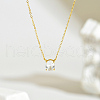 Vintage 925 Sterling Silver Pave Clear Cubic Zirconia Oval Pendant Necklaces for Women TX8720-3