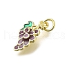 Brass Enamel Pendants KK-Q066-21G-2