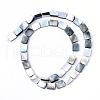 Natural Black Lip Shell Bead Strands SHEL-S249-34-1