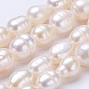 Natural Cultured Freshwater Pearl Beads Strands PEAR-P002-27-1