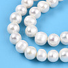Natural Cultured Freshwater Pearl Beads Strands PEAR-N013-07Q-4