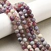 Natural Purple Red Tourmaline  Beads Strands G-N327-02A-01-7