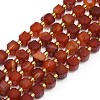 Natural Red Agate Beads Strand G-I376-D35-01-1