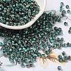 Transparent Inside Colours Glass Seed Beads SEED-H002-A-C222-1