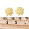 Brass Fancy Bead Caps KK-EC1166-G-2