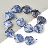 Natural Blue Spot Jasper Beads Strands G-D316-A04-1