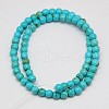 Synthetic Turquoise Beads Strands TURQ-G106-10mm-02F-2