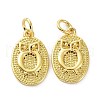 Brass Pendants KK-B046-11G-1