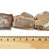 Natural Aqua Terra Jasper Beads Strands G-E444-11-A01-5