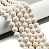Natural Fossil Beads Strands G-H026-02C-2