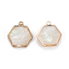 Natural White Shell Pendants KK-K252-05G-01-1