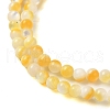 Natural Yellow Shell Beads Strands SHEL-M021-03A-3