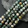 Natural Tree Agate Round Gemstone Beads Strands G-R255-8mm-1