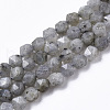 Natural Labradorite Beads Strands G-R465-33A-1