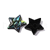 Natural Paua Shell Epoxy Resin Cabochons SSHEL-S279-01F-2