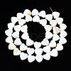 Natural Freshwater Shell Beads Strands SHEL-N026-152-2