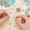 ARRICRAFT 2 Strands 2 Colors Natural Flower Amazonite Chip Beads Strands G-AR0005-98-4