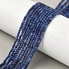 Natural Sodalite Beads Strands G-D306-A01-2mm-B-1