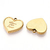 Ion Plating(IP) 316L Surgical Stainless Steel Pendants STAS-D029-29G-2
