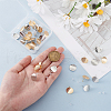 BENECREAT 32Pcs 2 Colors Brass Ear Stud Findings KK-BC0013-99-3