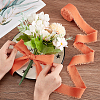 10M Polyester Frayed Ribbon OCOR-WH0094-01C-3