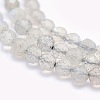 Natural Labradorite Beads Strands G-O166-22-3mm-3