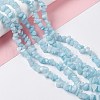 Natural White Jade Chip Beads Strands G-G905-02-1