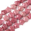 Natural Rhodonite Star Beads Strands G-Z080-A07-2