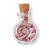 3Pcs 3 Styles Transparent Glass Wishing Bottle Decoration PALLOY-JF03098-2