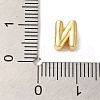 Rack Plating Brass Pendants X-KK-L220-001G-N-3