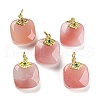 Natural Yan Yuan Agate Pendants G-P509-01G-1