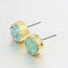 Flat Round Natural Druzy Agate Stud Earrings EJEW-L168-03-2