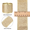 Sparkle Wired Edge Polyester Ribbon OCOR-WH0071-026A-2