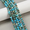 Dyed Natural Regalite/Imperial Jasper/Sea Sediment Jasper Beads Strands G-B124-C04-10-5